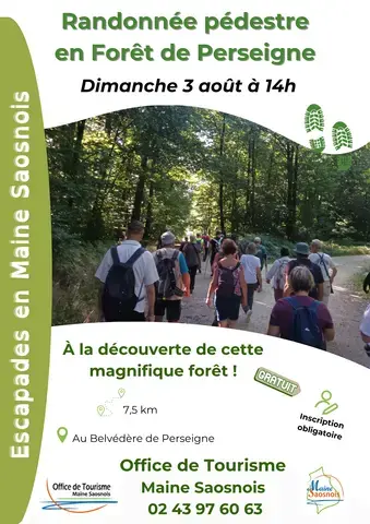 Escapades en Maine Saosnois - Randonnée en forêt de Perseigne