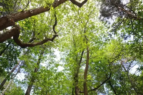 [Annulée] Découverte du patrimoine historique et naturel : sentier patrimoine