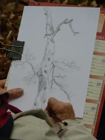 Atelier nature "Dessin forestier"