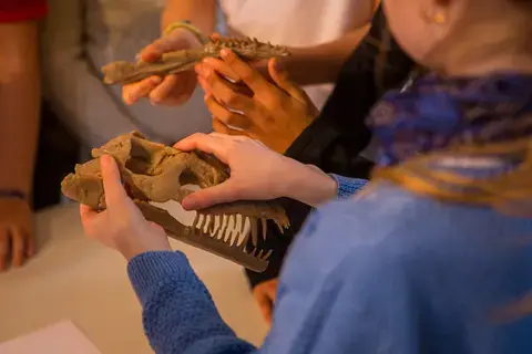 Atelier en famille : paléontologues du Jurassique