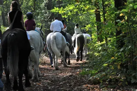L'Arche de la Nature - Aux Pas des Percherons