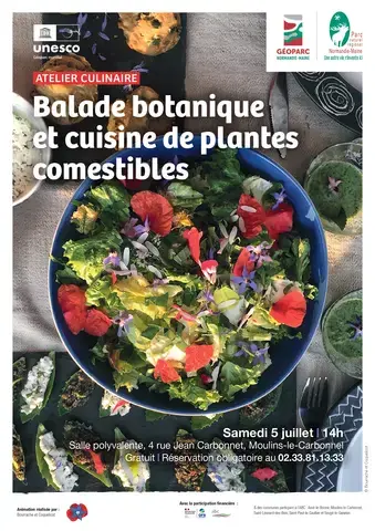 Balade botanique et cuisine de plantes comestibles