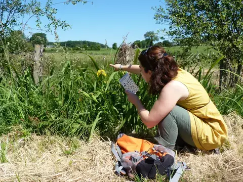 Balade famille "Le bocage, refuge de biodiversité"