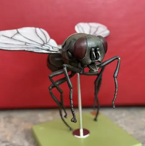 Atelier en famille "insectes et araignées"