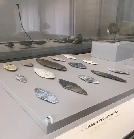 Visite guidée "Mythique Préhistoire" au musée d'archéologie