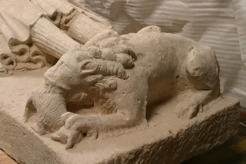 Visite guidée de l'exposition "les animaux s'emparent