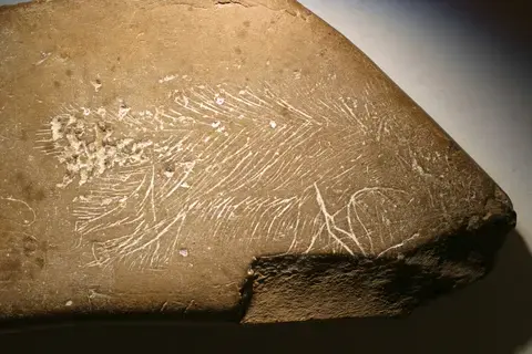 Atelier en famille : graveurs de mammouths