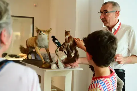 RDV sciences : la taxidermie, c'est trippant