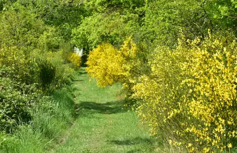 La Haie au Fil des Saisons