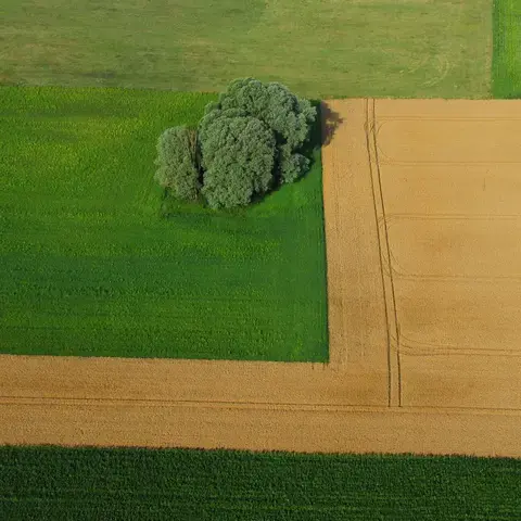 Conférence - débat "L'avenir de l'agriculture : parlons-en."