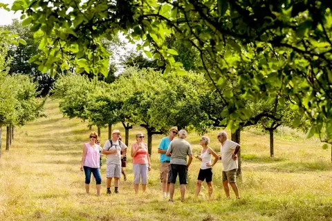 Les énigmes de lapin et chasse aux pommes