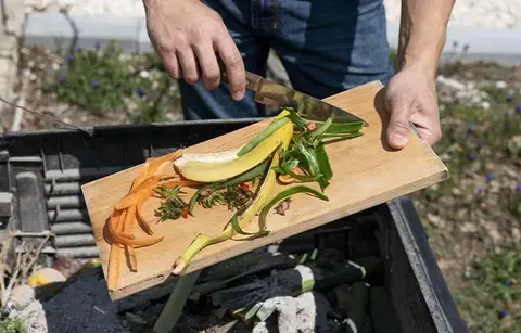 Atelier Couleur compost