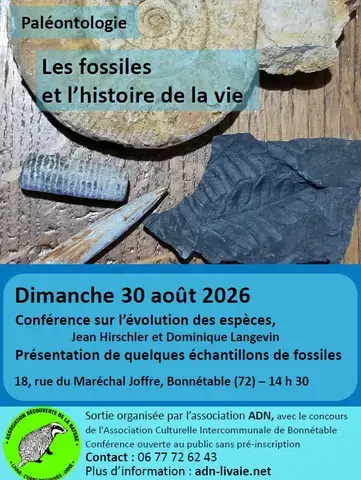 Conférence "Les fossiles et l'histoire de la vie"