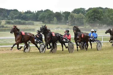 Courses hippiques