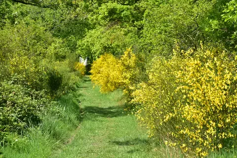 La Haie au Fil des Saisons