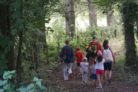 Balade nature "Histoire d'une forêt à travers ses paysages"