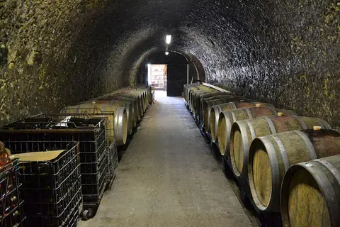 PAT : Visite du Domaine de Cézin