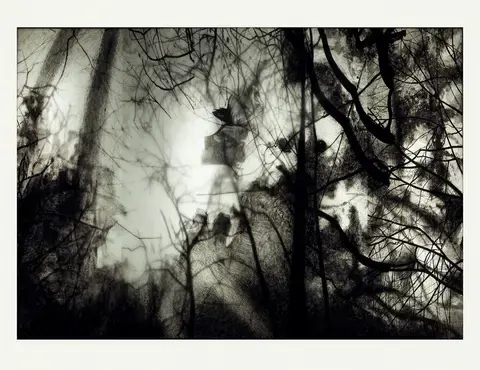 Séance philo au musée de Tessé