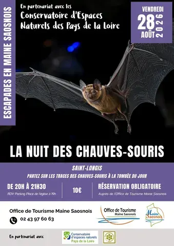 Escapades en Maine Saosnois : La nuit des chauves-souris