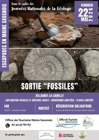 Escapades en Maine Saosnois - Sortie "Fossiles" à la carrière de Tessé