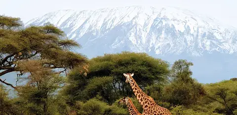 Objectif Kilimandjaro