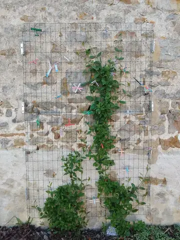 Rendez-vous aux Jardins