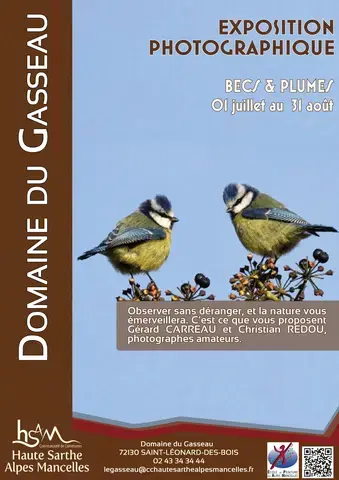 Exposition "Becs et Plumes"