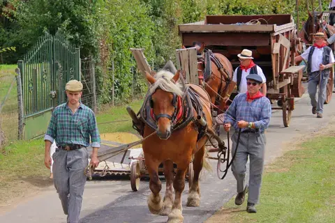 Fête de la moisson