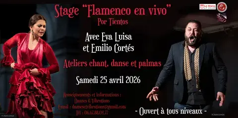 Stage Flamenco Tientos Danse