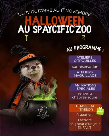Spaycific'Zoo / Zoodéfis