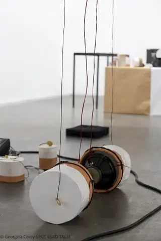 Rétroaction par  Hongli Wang