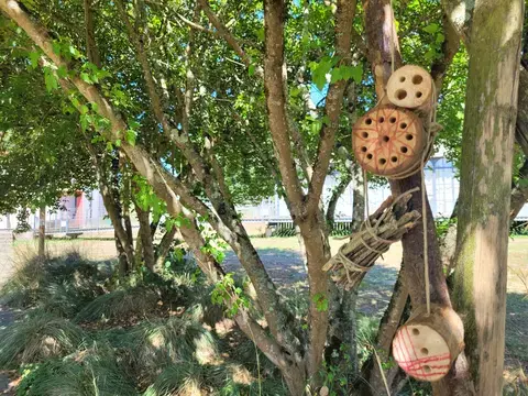 Atelier "Un hôtel pour les insectes 3-6 ans "