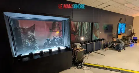 Noire forêt - Bande dessinée in situ