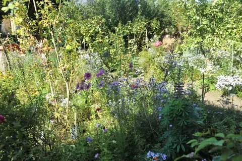 Visite-atelier : Jardinez la ville !