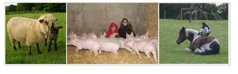 Mercredi du terroir : Visite de la ferme pédagogique "La Cerclerie"