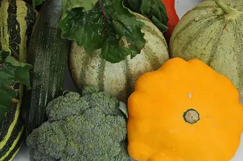 Marché gourmand et bien-être à Mamers