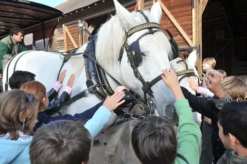 L'Arche de la Nature au pas des percherons