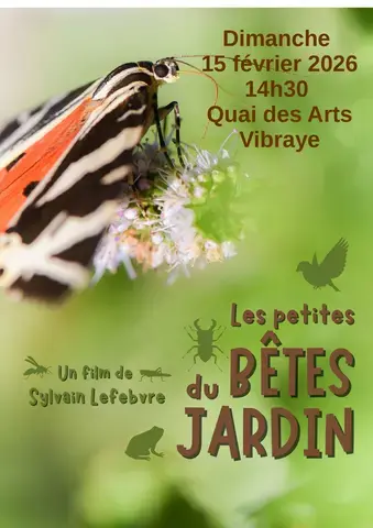 Film documentaire : Les petites bêtes au jardin
