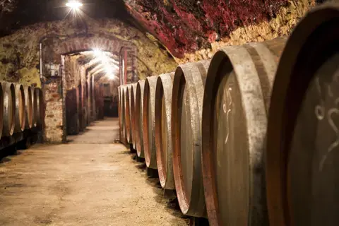 Vignoble et cave : visite guidée par un.e vigneron.ne alliant la nature et technique : Balade dans les vignes de la Vallée du Loir, visite du domaine, du chai e