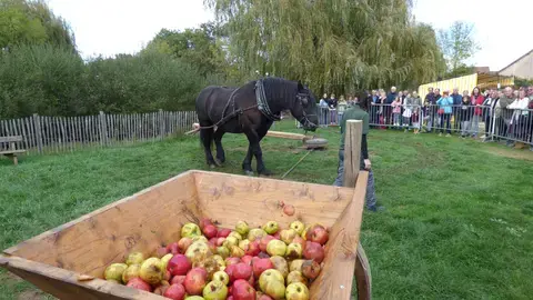 Fête de la pomme et des saveurs d'automne