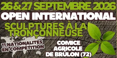 Le Comice Agricole de Brûlon reçoit l'OPEN INTERNATIONNAL de Sculptures à la Tronçonneuse !