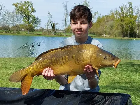 Journée pêche de la carpe
