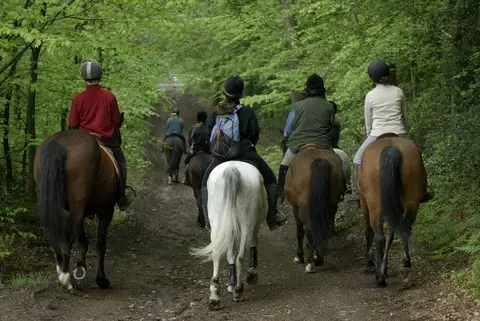 Randonnée équestre à Saint Rémy-du-Val