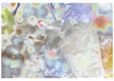 Oscillation | Exposition de photographie