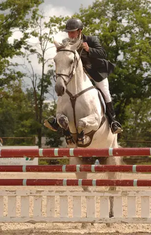 PÔLE EUROPÉEN DU CHEVAL