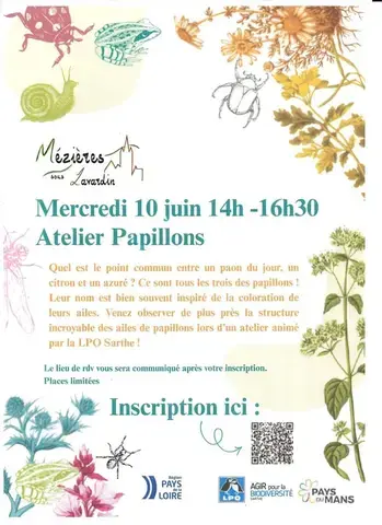 Atelier Papillons