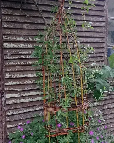 Atelier soleil d'Osier  - Françoise defaux