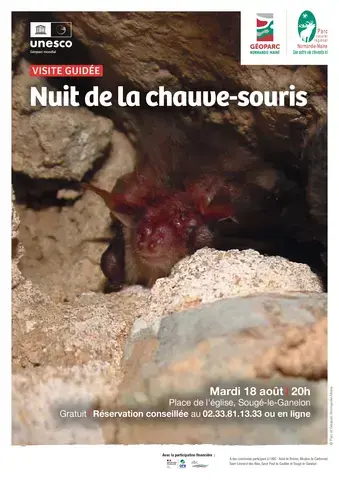 Visite "Nuit de la chauve-souris"