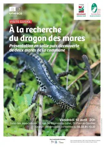 Visite "à la recherche du dragon des mares"