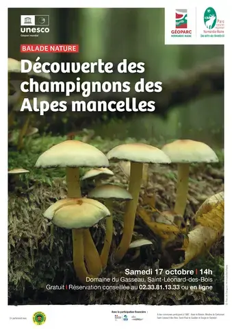 Balade nature "Découverte des champignons des Alpes Mancelles"